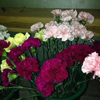 18199179_1464552533616017_5845511486201362004_n